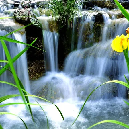 Aquafalls Nature